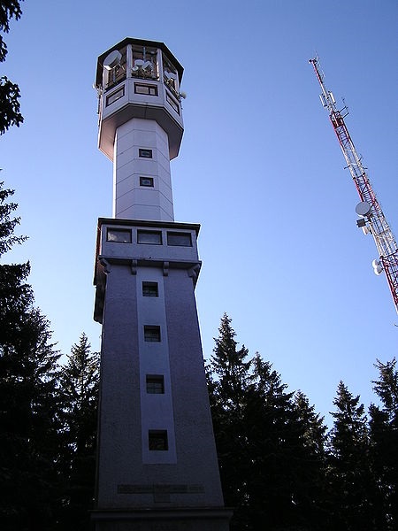 Klostermannova rozhledna na vrchu Javorník. Autor: JAn Dudík. Zdroj: Wikimedia Commons, volné dílo