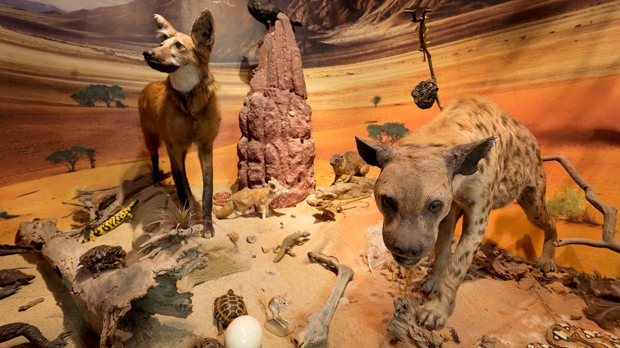 Expozice v Památníku města Protivína. Zdroj foto: Prácheňské muzeum v Písku