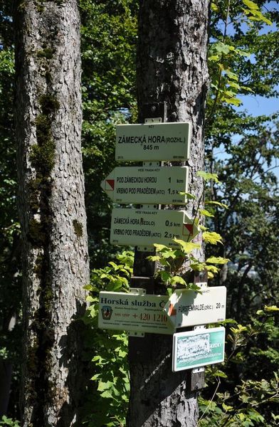 Rozcestník Zámecká hora u Vrbna pod Pradědem. Foto: Petr Fabian. Zdroj: <a href="http://www.hrady-zriceniny.cz">Hrady-zříceniny.cz</a>