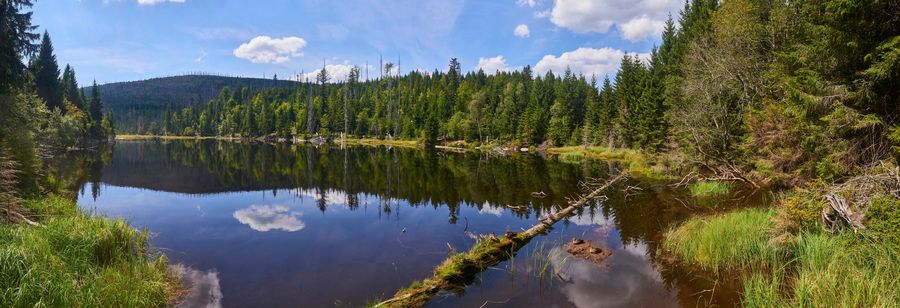 Výhled na jezero Laka v Národním parku Šumava. Zdroj: Shutterstock.com/Petr Bonek