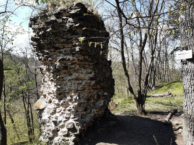 Zřícenina hradu Rabštejn u Dukovan. Foto: Anna Petruželková
