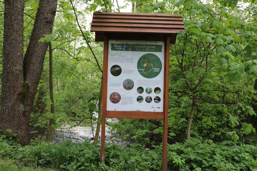Naučná stezka Křížový a Kočičí vrch. Zdroj: Městské kulturní a turistické informační centrum v Moravském Berouně