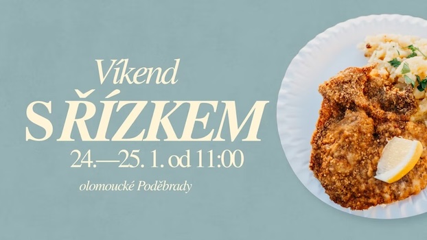 Řízek s bramborovým salátem 