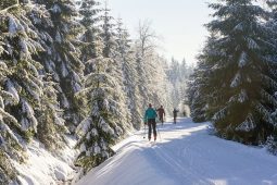Víkend v Olomouckém kraji nabídne burzu, masopust i karnevaly