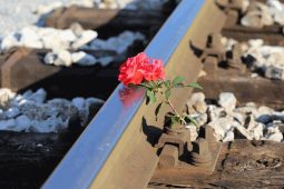 Tragická nehoda na Blanensku: Ženy přebíhaly přes přejezd, jedna to nestihla