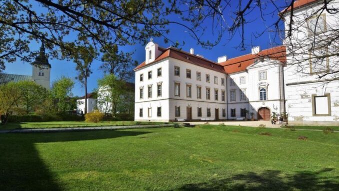 Na terase vyšvihli beton a kuchyň. Vaří na plynu, skryti zelení na trelážích