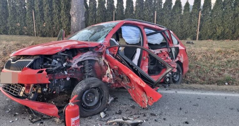 Zdroj: Policie ČR - KŘP Jihočeského kraje