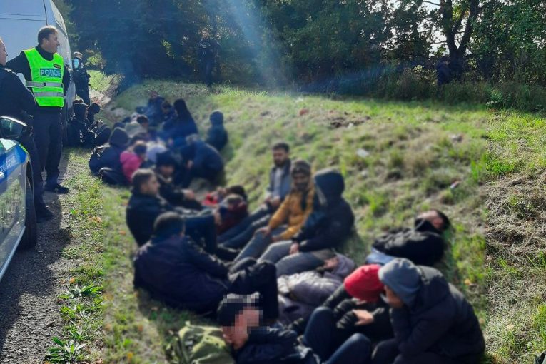 migranti