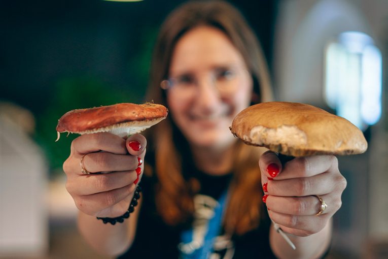 Houby